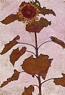 Sunflower 1